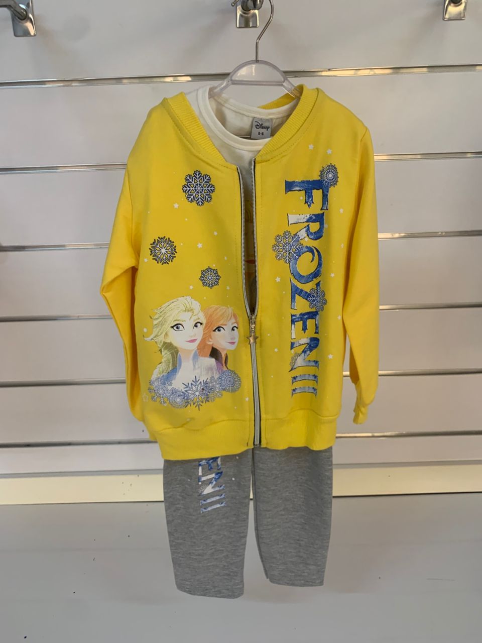 Ensemble Frozen