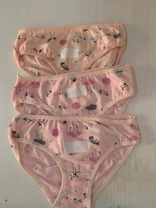 Lot de 3 Slips Fille